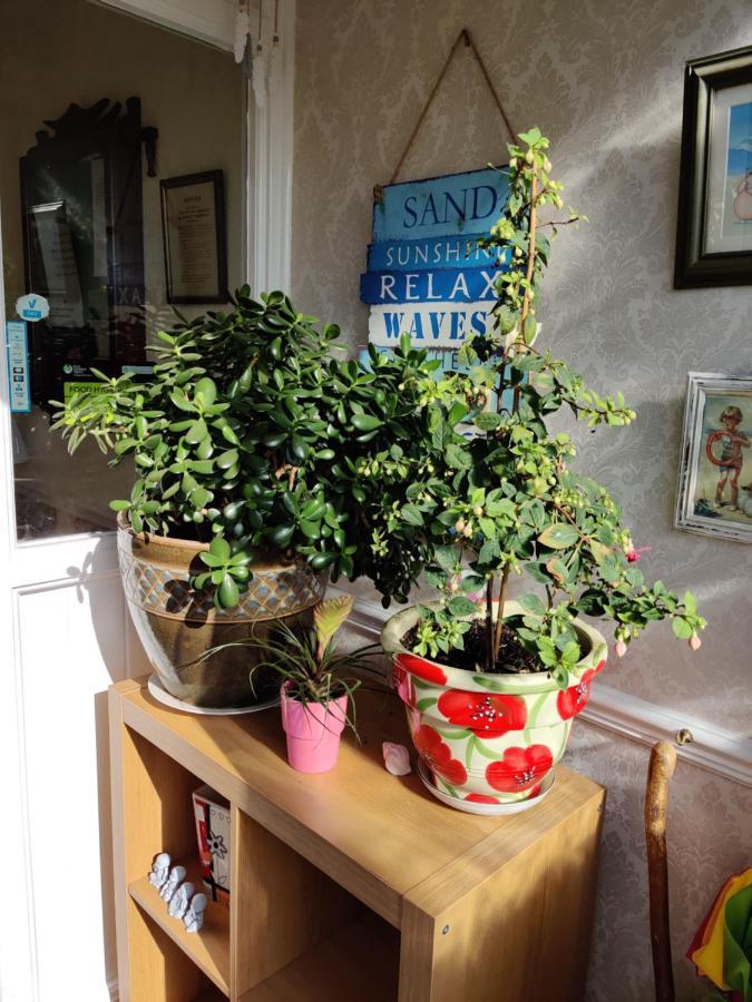 Cameron Court Bed & Breakfast 3*